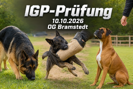 IGP-Prüfung 2026 OG Bramstedt